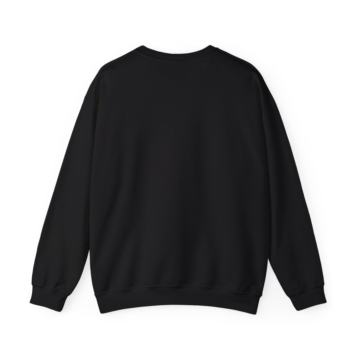 True North Mountains sweatshirt